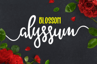 Alyssum Blossom: A Thoughtful Script Font Duo for Digital Design
