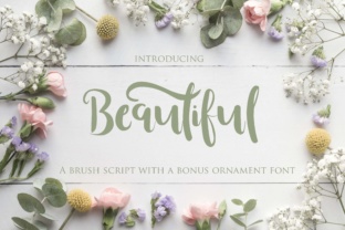 Beautiful Font: A Brush Script That Actually Works in Real Branding