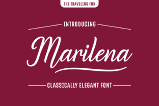 Marilena: A Smooth, Elegant Script Font for Real Branding Work