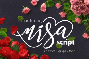 Nisa: A Fresh, Handmade Script Font for Real Business Branding