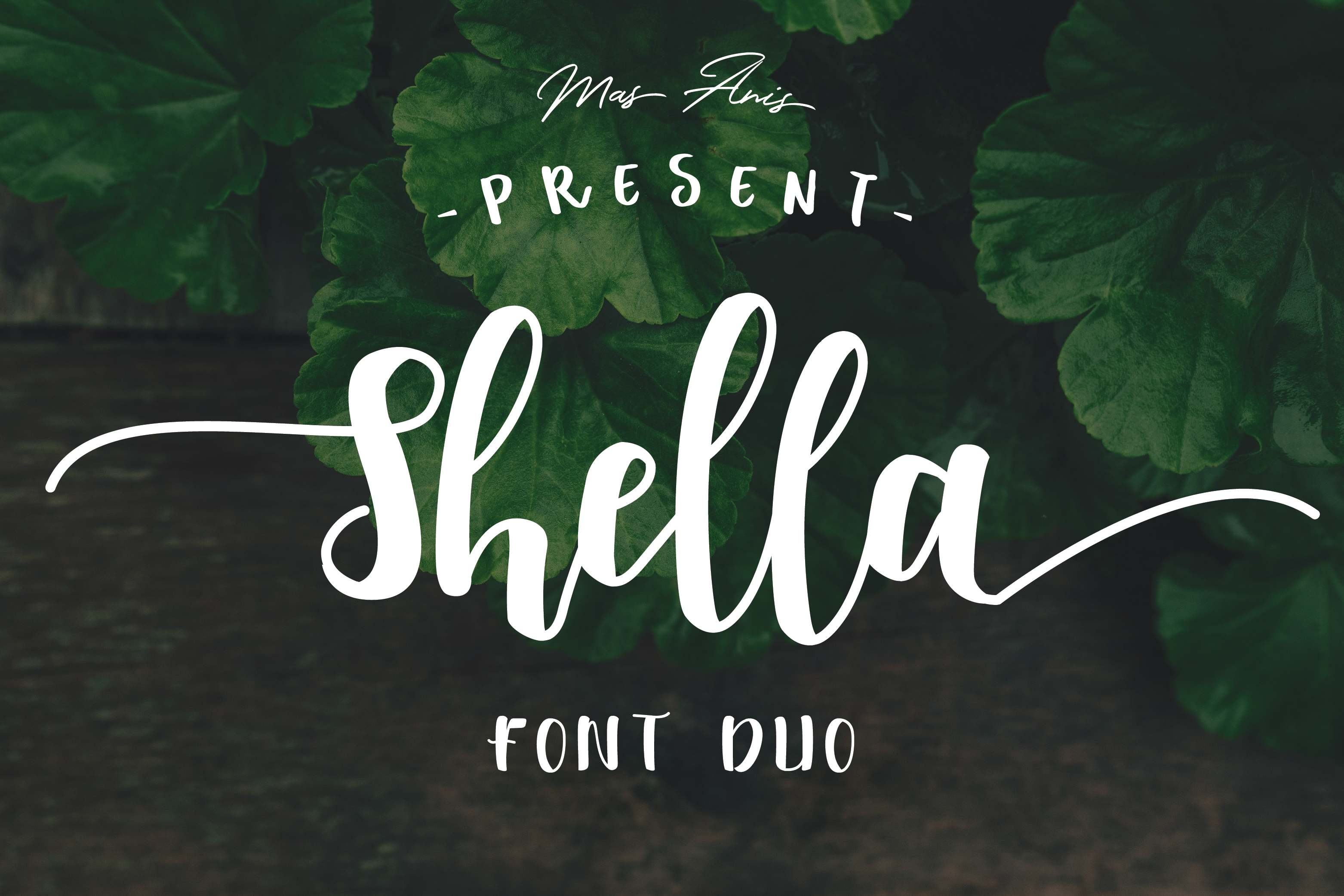Shella Font Duo: Warm, Hand-Brushed Typography for Handmade Brands