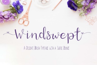 Windswept: A Delicate Script Font That Elevates Your Brand
